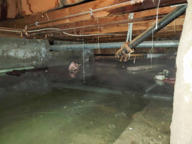 Best 24/7 water damage repair  in Paulsboro, NJ