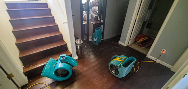 Best Water damage restoration near me  in Paulsboro, NJ