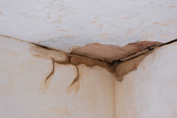 Reliable Paulsboro, NJ Water damage restoration Solutions