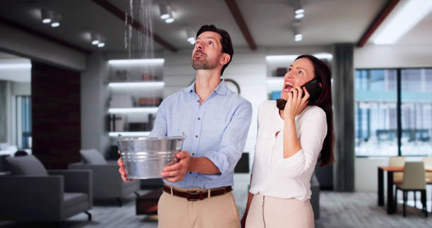 Best Water damage restoration near me  in Paulsboro, NJ