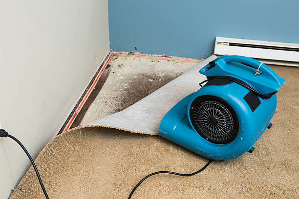 Best Sewage cleanup and water damage restoration  in Paulsboro, NJ
